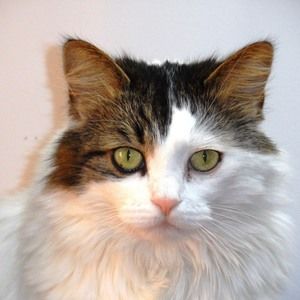 Meet your Posher, Jill